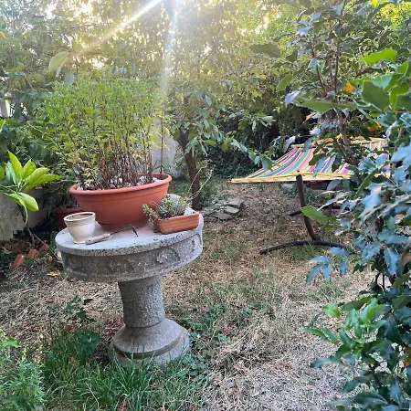 Nuoro Suite *